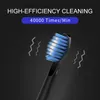 Seago Electric Sonic Toothbrush SG-575 USB Charge Rechargeable Adult Waterproof Electronic Tooth Brushes Replacement Heads Gift 220224