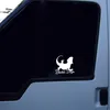 12412CM Funny Bearded Dragon Vinyl Car Stickers Bumper Car Window C1211083836329