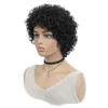 짧은 인간의 머리 가발 아프리카 변태 곱슬 저렴한 100 % 인간의 머리 가발 흑인 여성의 브라질 레미 전체 기계 제작 가발