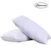 Chpermore 100 % 뽕나무 실크 베개 5 성급 메모리 베개 48 * 74cm 정형 목 베개면 커버 수면 건강 201215