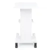 Spa Wheel Trolley Accessories & Parts for Portable Facial Beauty Equipment Homespa Use Tool Cart