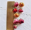 クラフトツールGutta Perchaローズヘッドセミ仕上げイヤリングアクセサリーDIYネックレスバラドライフラワー本物の花