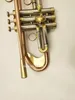Nuovo strumento musicale per tromba oro laccata in ottone BB con tromba.