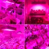 2000W Dual Chips 380-730nm Full Light Spectrum LED Plant Growth Lamp White Grow Lights wholesale