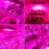 2000W Dual Chips 380-730Nm Fullt ljus Spektrum LED Växtillväxt Lamp Vit Grow Lights Wholesale