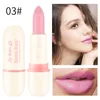 Romantische Schönheit Rosa Matte Lippenstift Feuchtigkeitsspendende Lip Blam Wasserdicht Make-Up Lippenstift Flüssigkeit Langlebig Lip Kosmetik TSLM2