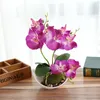 Artificial Butterfly Orchid Potted plants silk Flower with Plastic pots moss Home Balcony Decoration vase set wedding Decorative Y200104