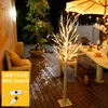 90 cm di altezza LED Birch Tree Light 60 LED USB azionato con interruttore LED Landscape Light Decor per Home Party Wedding Christmas D20 201028