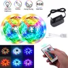 Plastic 300-LED SMD3528 24W RGB IR44 Light Strip Set with IR Remote Controller (White Lamp Plate)