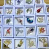 Inci Rhinestone Çelenk Kelebek Flamingo Broş Kadınlar Için Hediye Kutusu ile Trendy Zarif Daire Yaprak Broş Pins Parti Düğün Hediyeleri