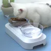 platos de comida para gatos