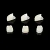 1Pack Pro Dental Temporary Crown Dental Anteriors Front Molar Posterior Dentist Products Dental Materials Nature Color7853933