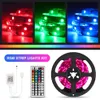 5M 10M LED-Streifenlicht SMD 5050 Flexibles Band-LED-Leuchten DIY-LED-Lichtstreifen RGB-Banddiode DC 12V Telefon-App Bluetooth
