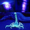 مشاعل وحدها مشاعل 395400NM طاقة عالية UV المصباح SCORPION CAT DOG PET PET PET MONET