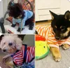 Собака одежда полосатая футболка собаки рубашка рубашка дышащих домашних животных красочный щенок толстовка кошка одежда для маленьких до среднего щенка