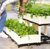 取り付けが簡単な長方形の野菜の水のない植物の鍋でバルコニーの花の植栽箱|ベクターイラスト| CLIPARTO Kraflo Garden Planter