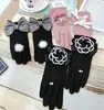 Five Fingers Gloves Black Camellia Cashmere And Korean Fashion Houndstooth Mink Hair Cute Flowers Warm Touch Screen Women