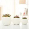 Mini Färgglada Plast Blomma Pot Fashion Rainbow Stone Succulent Växtbehållare | Kraflo Graden Tools