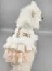 ivory dog