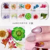 Mix Dried Flowers Natural Floral Leaf Nail Stickers 3D Decals Polish Manicure Accessories