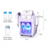 Peneelily ultrasons Hydro microcourant Microdermabrasion LED épurateur de peau chaud froid soins de la peau équipement de beauté du visage