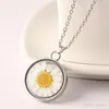 Locket halsband för kvinnor mode hjärta form flytande locket torkad blomma växt hängande kedja halsband