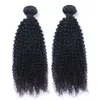 Brasilianisches Echthaar, verworren, lockig, 2 Bündel für schwarze Frauen, natürliche Farbe, 9A, Remy-Haarverlängerung