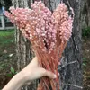 Konserverade blommor 80g 25-38cm Verklig Spiked Punch, DIY Nature Fresh Eternell Floral, Wedding Home Eternelle Rose Gift Dekoration C0930
