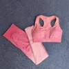Ombre Spor Seti Kadın Yoga Set Spor Sutyen + Kesintisiz Tayt Egzersiz Spor Spor Giyim Yüksek Bel Spor Takım Elbise Koşu