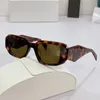 2022 Neue Sonnenbrille für Männer und Frauen Sommerstil Anti-Ultraviolett-Symbole PR17WS Retro-Quadratplatte Vollformat-Modebrille mit Originalverpackung 17WF