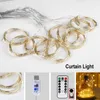 Explosive USB remote control led strings copper wire curtain light 3*3 meters holiday room decoration lantern curtain light string