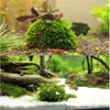 Aquarium Marimo Moss Ball Live Plants Filter For Java Räkor Fish Tank Decorations Ornament272n