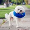 Hund Pet Collar Uppblåsbara Anti-Bite Skada Recovery Neck Protective Surgery Cone Lbshipping LJ201112