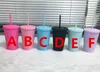 Bicchieri acrilici opachi da 16 once con coperchi colorati cannucce colorate bottiglie di acqua sportiva grassa grassa a doppia parete bevanda tazze d'acqua A12