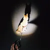 الكلاب الصمام الأنوار قابل للسحب المقود التلقائي توسيع النايلون المقود يؤدي سحب الحيوانات الأليفة المشي تشغيل الجر حبل 201126