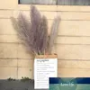 3PCS 55CM80CM White Natural Reed Dried Flower Big Pampas Grass Bouquet Wedding Flower Ceremony Decoration Modern Home Decoration