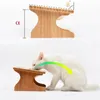 Pet wooden Tilted Feeders Antislip Double Ceramic Bowl Cat Dish with Slope Base Lovely Bowls bamboo stand CW120 Y200917