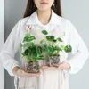 Erxiaobao Plantes artificielles avec pot en verre Simulation Bonsaï en pot Placé Vert Trèfle à quatre feuilles Maison Table Fenêtres Décoration T200330