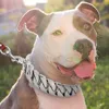 Starke Metall-Hundekettenhalsbänder, Edelstahl, Haustiertraining, großes Halsband für große Hunde, Pitbull, Bulldogge, Silber, Gold, Showhalsband LJ207794616