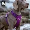 Pequeno Truelave Medium Dog Harness Grande TLH6281 2FFF #