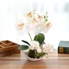 Artificial Butterfly Orchid Potted plants silk Flower with Plastic pots moss Home Balcony Decoration vase set wedding Decorative Y200104