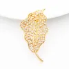 Varol Unique Leaf Shape Custom Gold Plated Brosch Crystal Women Rhinestones Tillbehör Smycken Pearl Brosch Julklapp