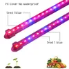 2PCS 50CM LED élèvent la lumière 12V avec adaptateur 2A 5630 Bar Lampes de croissance à spectre complet Plante de serre de rium étanche Y200917