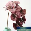 10 têtes grandes fleurs d'orchidées artificielles Style rétro européen orchidées papillon maison décoration de fête de mariage fausse soie Flores9577081