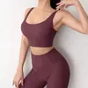 Yoga kıyafeti 6 renk kadınlar dikişsiz 2pcs set mahsul üst sütyen tozluk spor salonu sporu seksi antrenman