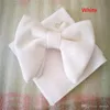 Groom Ties Fashion Bowties en velours de pastèque avec homme Hankie assortis