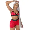 Damen-Nachtwäsche mit Spitze, sexy 2-teiliges Outfit, transparentes, durchsichtiges Netz, zweiteiliges Damen-Shorts-Set