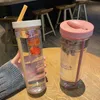 700ml Früchte Filter mit Strohmaterial Kunststoff Outdoor School Wasserflasche Reise Sport Trinken Saft Teetasse