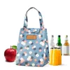 insulated lunch bag with ice pack