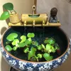 Bamboo Aquarium Water Recycling Feng Shui Decoration Tube Water Fountain Stone Trough Filter Office Desktop Furnishings Y200922